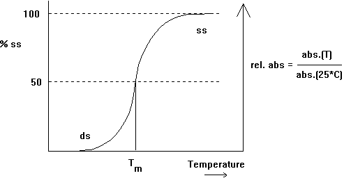 How are DNA and RNA similar?