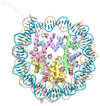 1aoi nucleosome