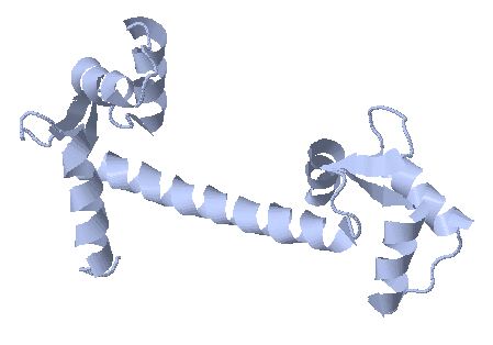 1clm calmodulin